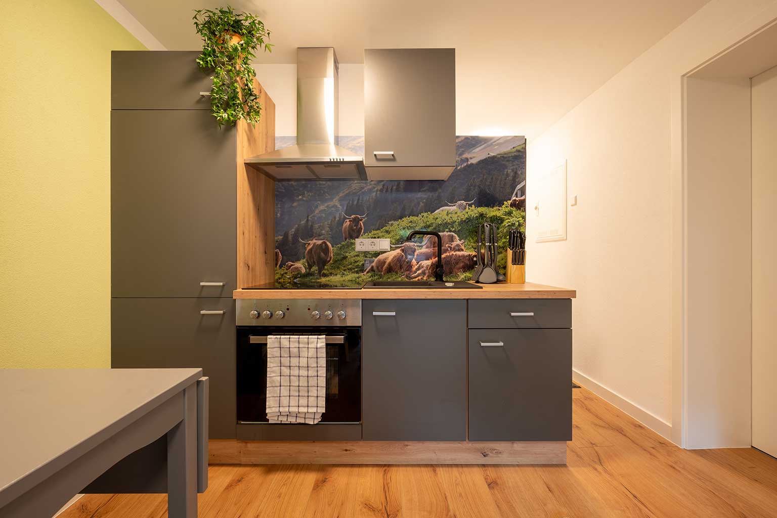 Wohnzeit_Haus_Sydney-appartement-7-kueche